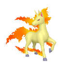 Rapidash