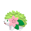 Shaymin