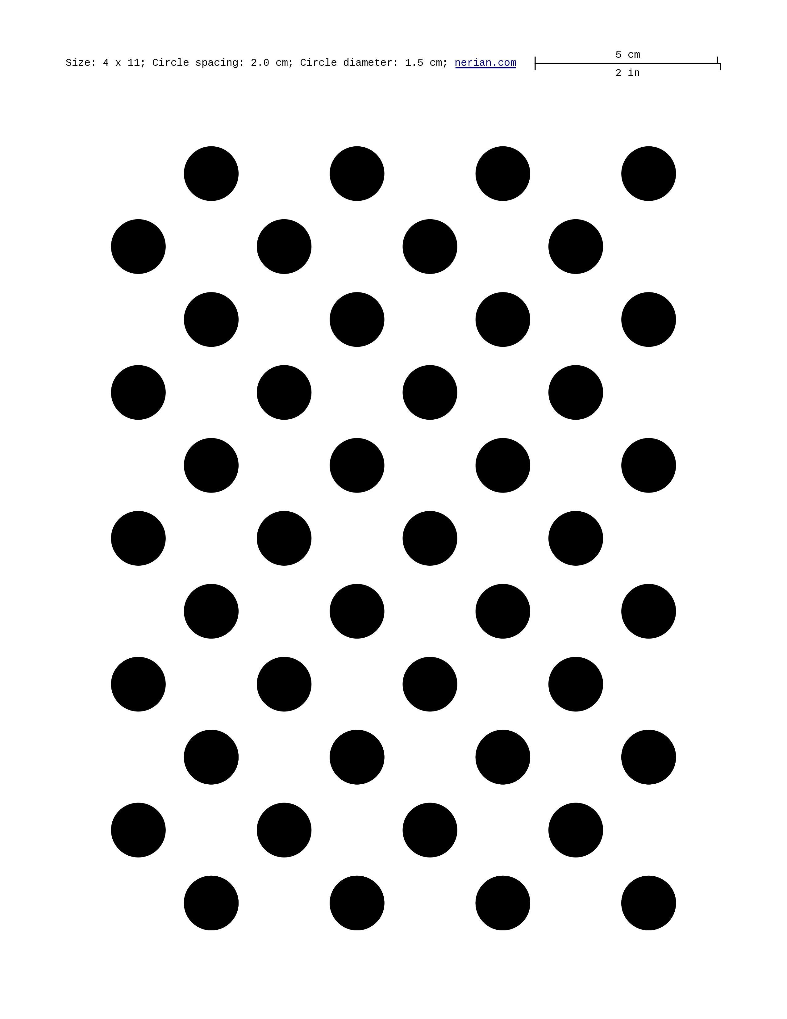 Asymmetric Circle Grid Calibration Target